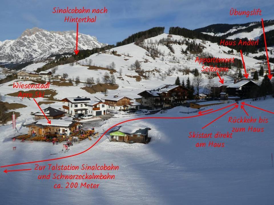 Penthouse An Skipiste Mit Hochkoenigcard Skiin Skiout Apartment Maria Alm am Steinernen Meer Ngoại thất bức ảnh